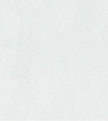 Bernardo Bartalucci Gaga  84284-22