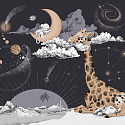 Cosmos-25: 8 30808